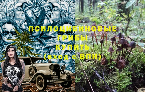 сатива Усинск