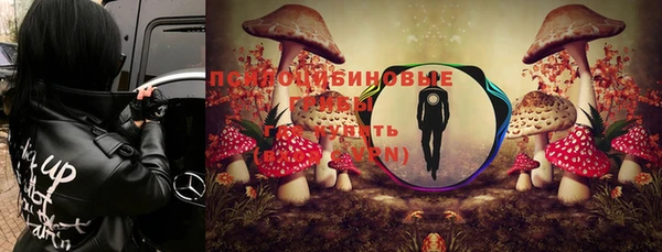 прущие грибы Алексин